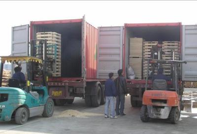 山東濟南濱州至江門新會開平內貿海運集裝箱物流服務詳解